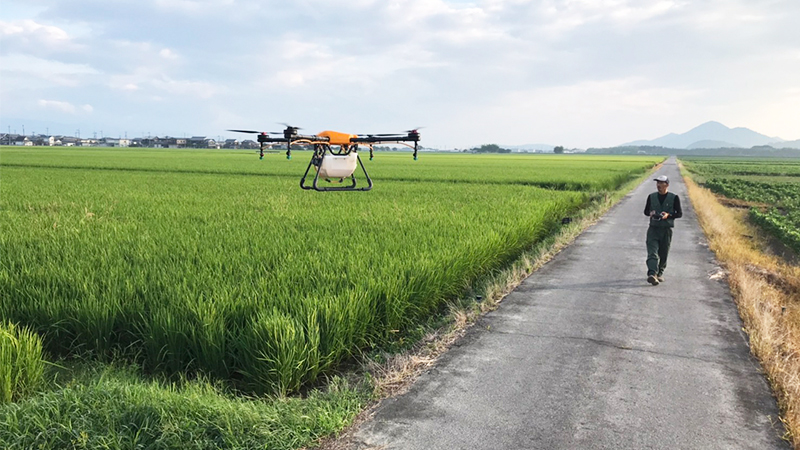 自然と触れ合いながら働ける